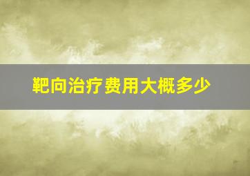 靶向治疗费用大概多少