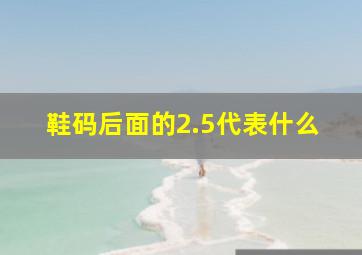 鞋码后面的2.5代表什么