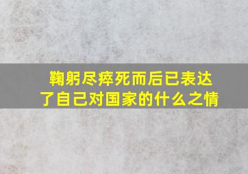 鞠躬尽瘁死而后已表达了自己对国家的什么之情