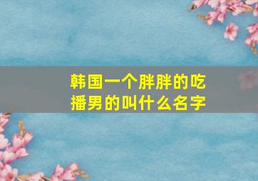 韩国一个胖胖的吃播男的叫什么名字