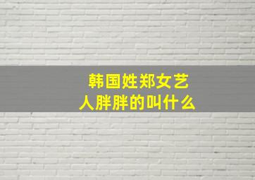 韩国姓郑女艺人胖胖的叫什么