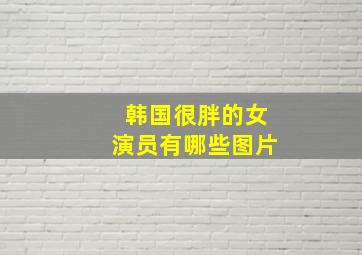 韩国很胖的女演员有哪些图片