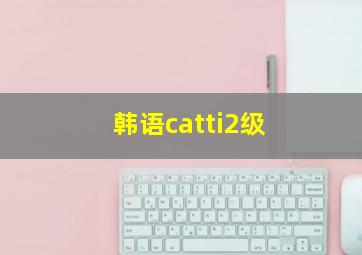 韩语catti2级