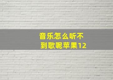 音乐怎么听不到歌呢苹果12