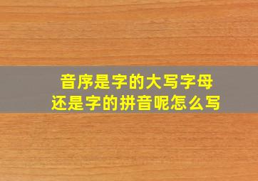 音序是字的大写字母还是字的拼音呢怎么写