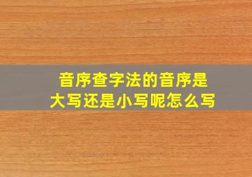 音序查字法的音序是大写还是小写呢怎么写