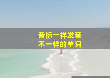 音标一样发音不一样的单词