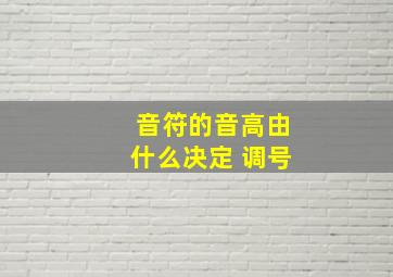 音符的音高由什么决定 调号