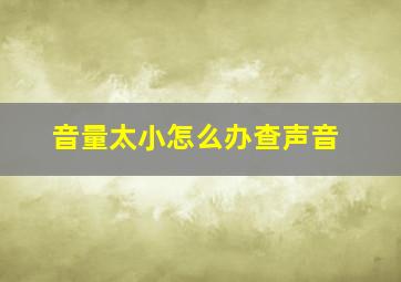 音量太小怎么办查声音