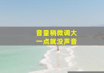 音量稍微调大一点就没声音