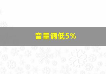 音量调低5%