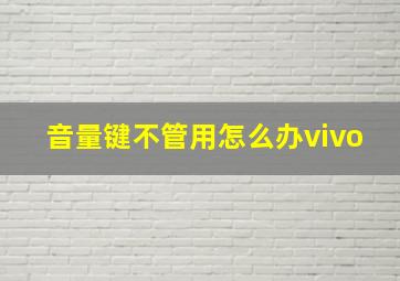 音量键不管用怎么办vivo