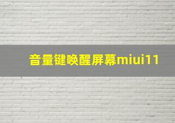 音量键唤醒屏幕miui11