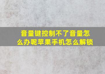 音量键控制不了音量怎么办呢苹果手机怎么解锁