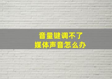 音量键调不了媒体声音怎么办