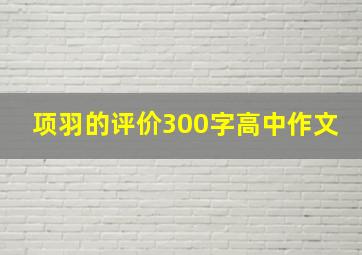 项羽的评价300字高中作文