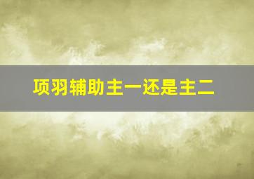 项羽辅助主一还是主二