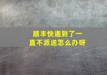 顺丰快递到了一直不派送怎么办呀