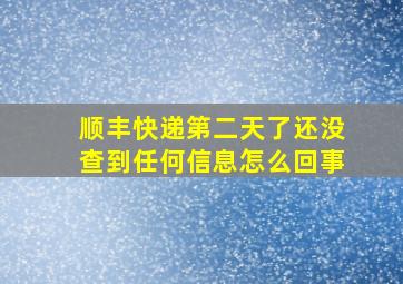 顺丰快递第二天了还没查到任何信息怎么回事