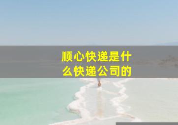 顺心快递是什么快递公司的