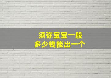 须弥宝宝一般多少钱能出一个