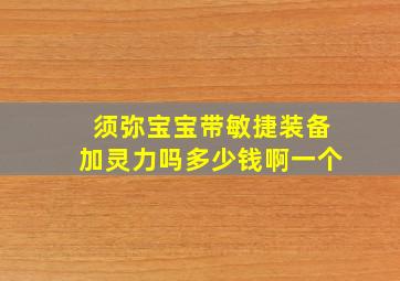 须弥宝宝带敏捷装备加灵力吗多少钱啊一个