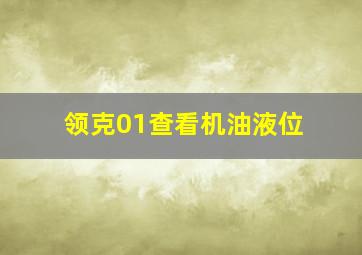 领克01查看机油液位