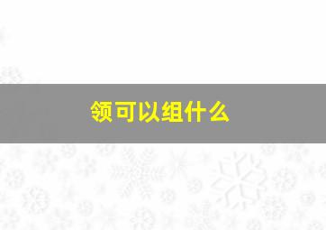 领可以组什么