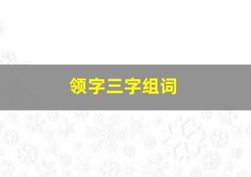 领字三字组词