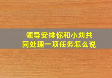 领导安排你和小刘共同处理一项任务怎么说