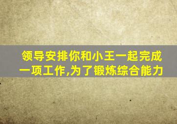 领导安排你和小王一起完成一项工作,为了锻炼综合能力