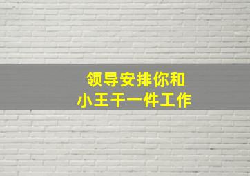 领导安排你和小王干一件工作