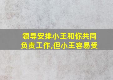 领导安排小王和你共同负责工作,但小王容易受