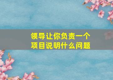 领导让你负责一个项目说明什么问题