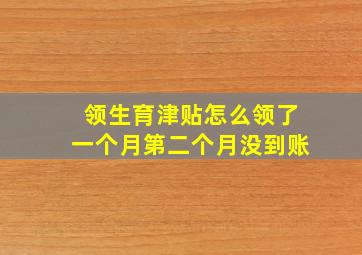 领生育津贴怎么领了一个月第二个月没到账