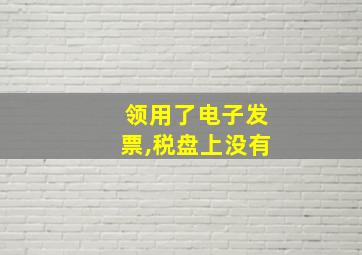 领用了电子发票,税盘上没有