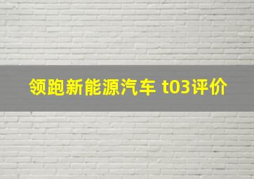 领跑新能源汽车 t03评价