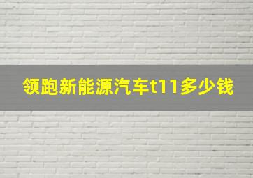 领跑新能源汽车t11多少钱