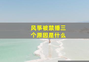 风筝被禁播三个原因是什么