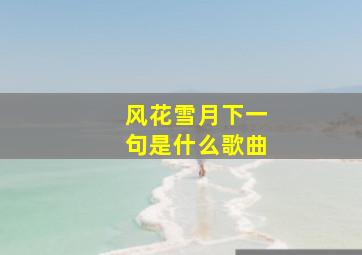 风花雪月下一句是什么歌曲