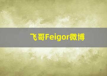 飞哥Feigor微博