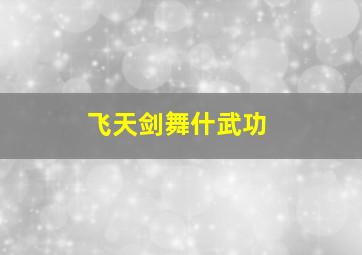 飞天剑舞什武功