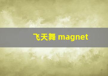 飞天舞 magnet