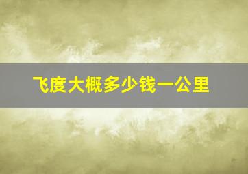 飞度大概多少钱一公里