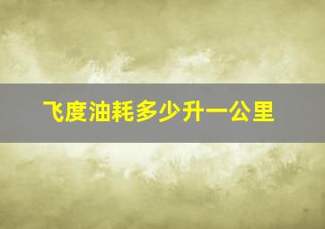 飞度油耗多少升一公里