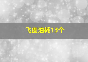 飞度油耗13个