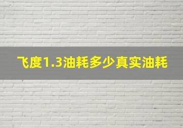 飞度1.3油耗多少真实油耗