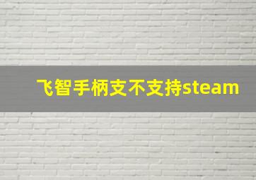 飞智手柄支不支持steam