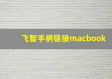 飞智手柄链接macbook