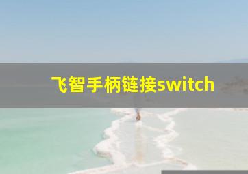 飞智手柄链接switch